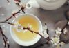 white tea - beyaz çay - beyaz cay