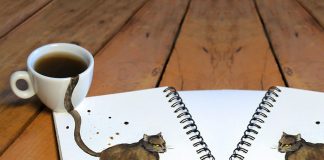 Kahve Sanatının Gelebileceği En Güzel Noktayı Gösteren 7 Kedili Kahve