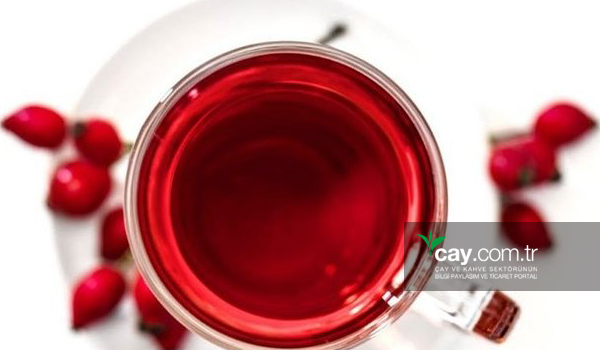 Şifa deposu mucizevi bitkiler! Hangi bitki çayı hangi hastalığa iyi